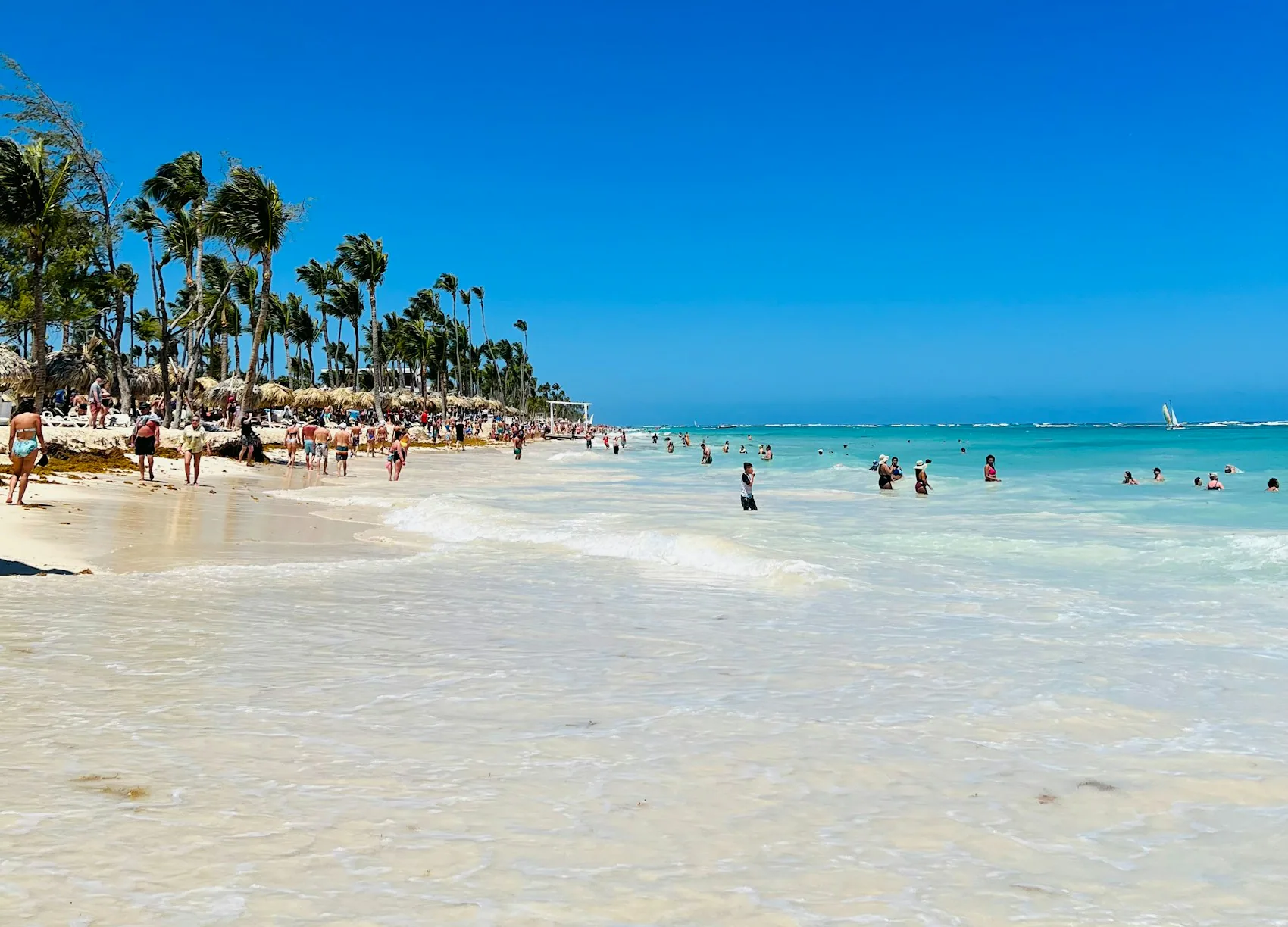 Playa caribeña de agua turquesa con palmeras